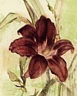 Burgundy Day Lily by Cheri Blum